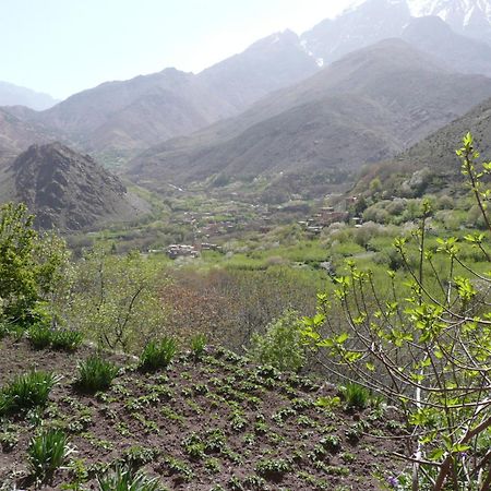 Gite Atlas Mazik Imlil  Exterior foto