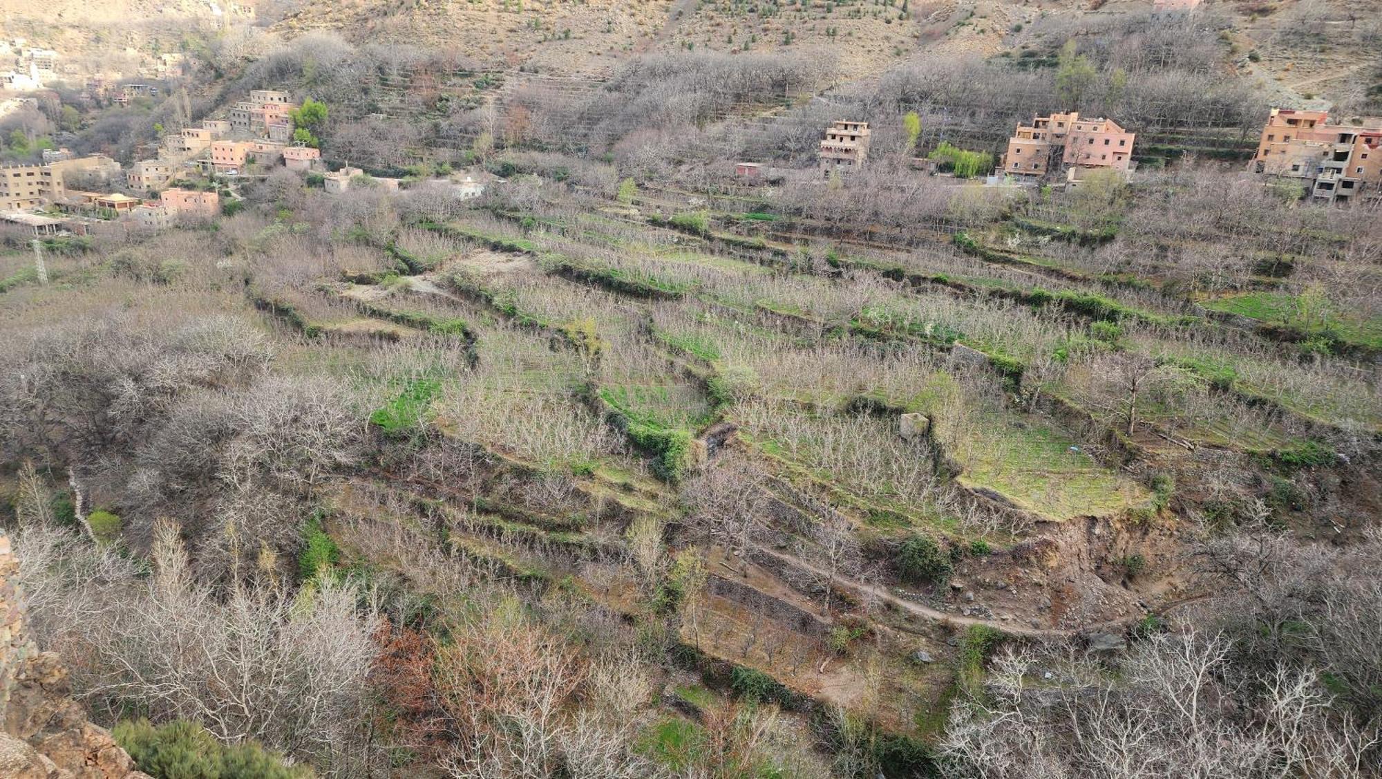 Gite Atlas Mazik Imlil  Habitación foto