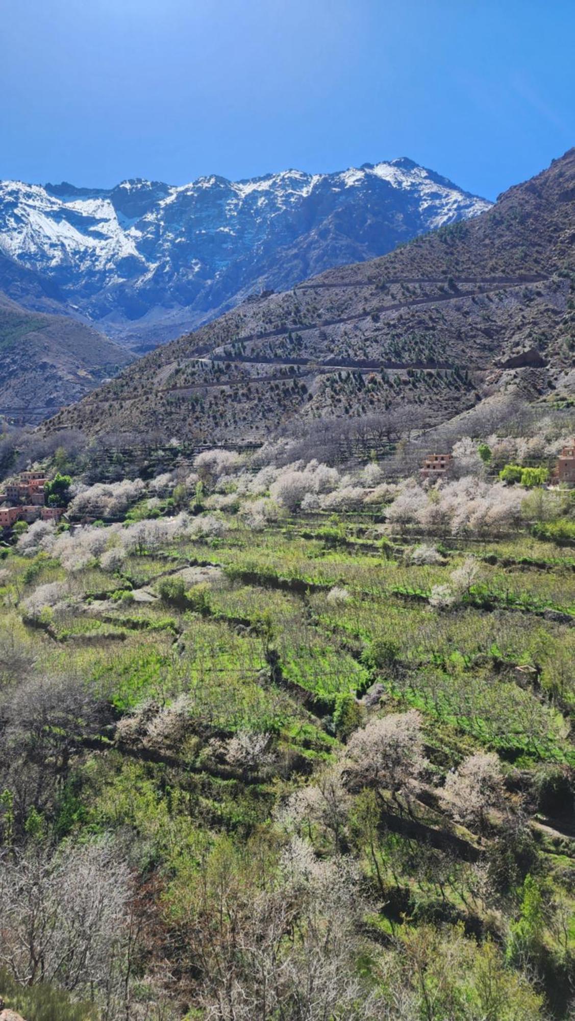 Gite Atlas Mazik Imlil  Exterior foto