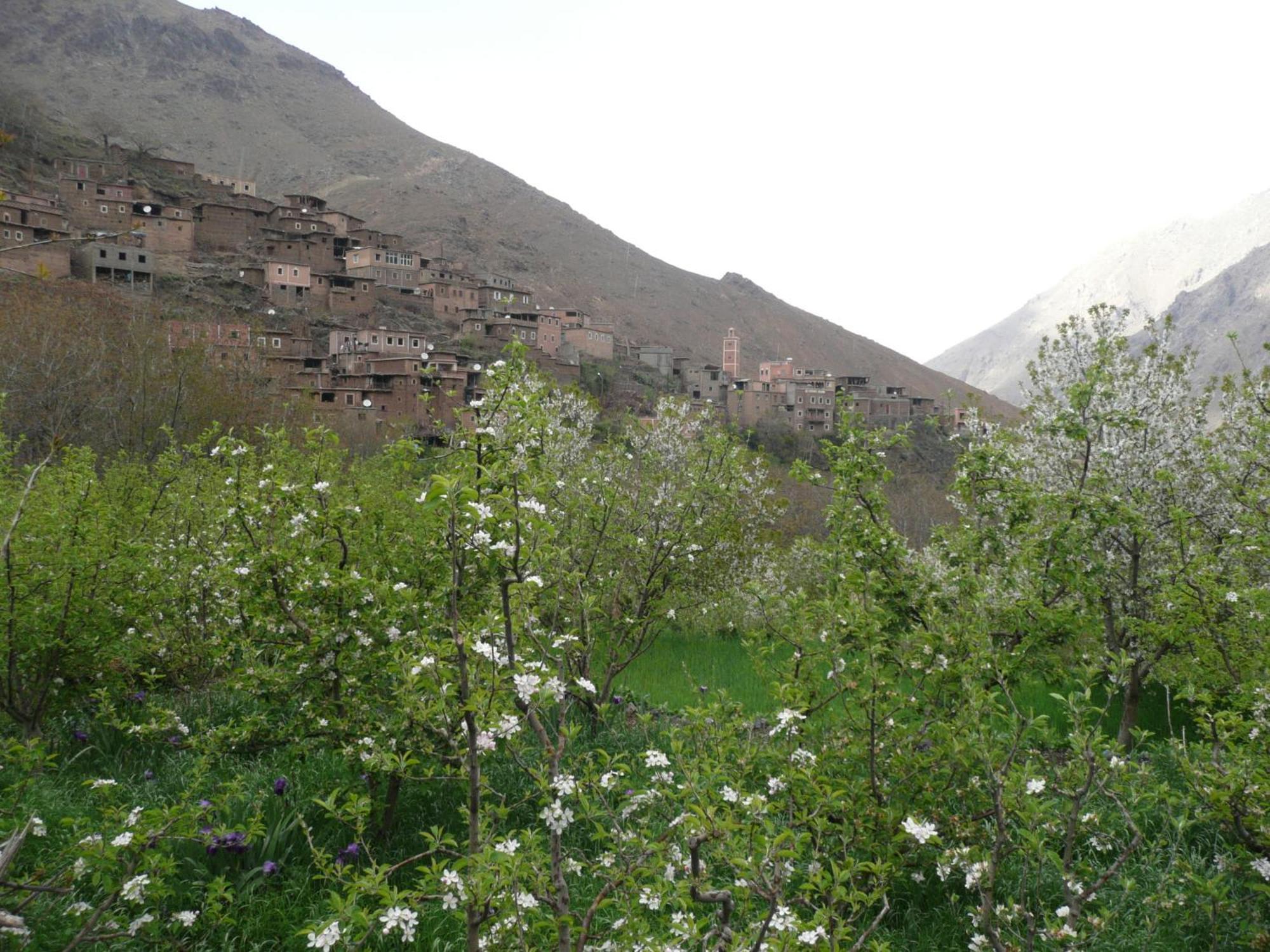 Gite Atlas Mazik Imlil  Exterior foto
