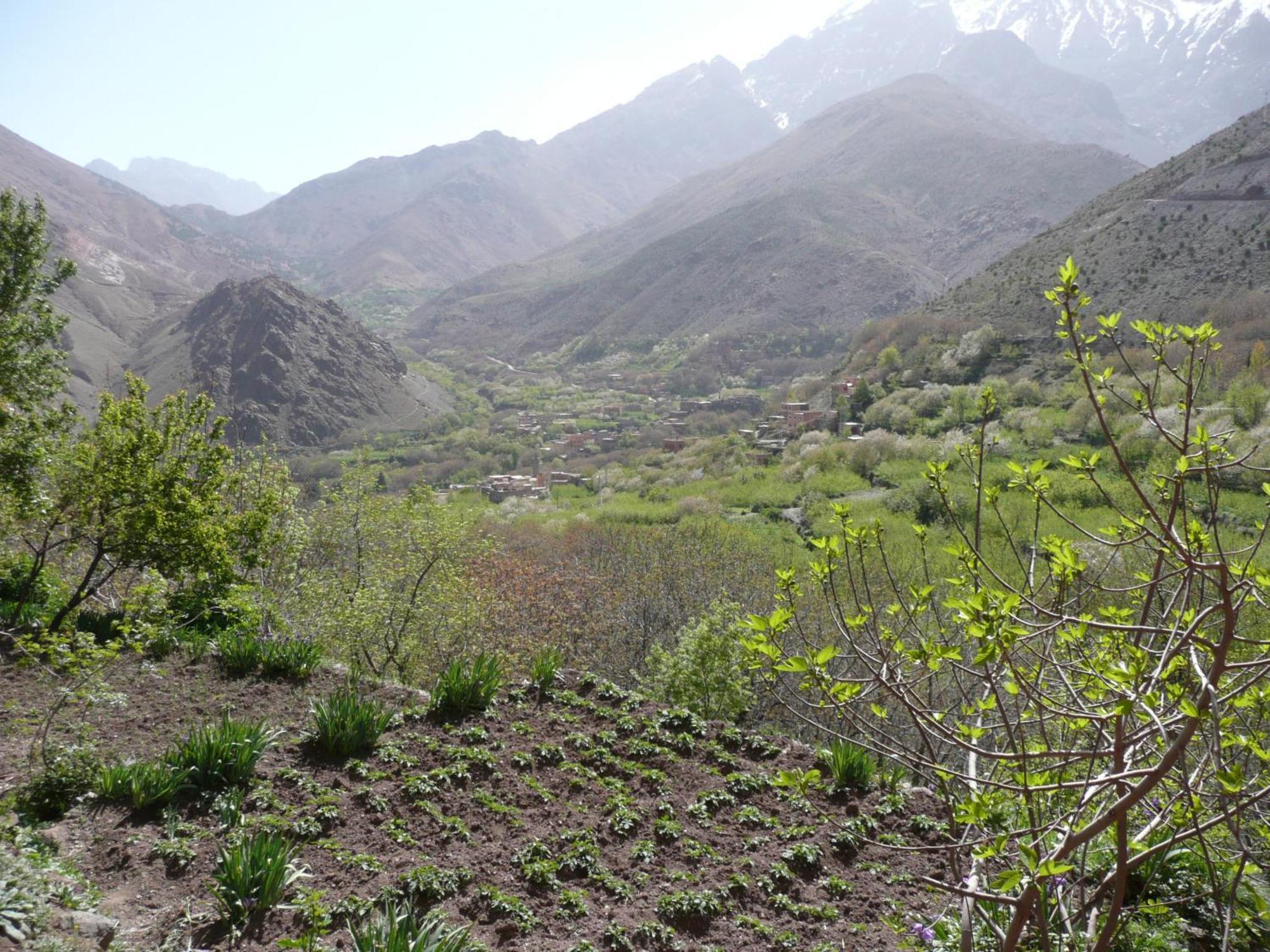 Gite Atlas Mazik Imlil  Exterior foto